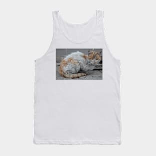 Stray Cat Tank Top